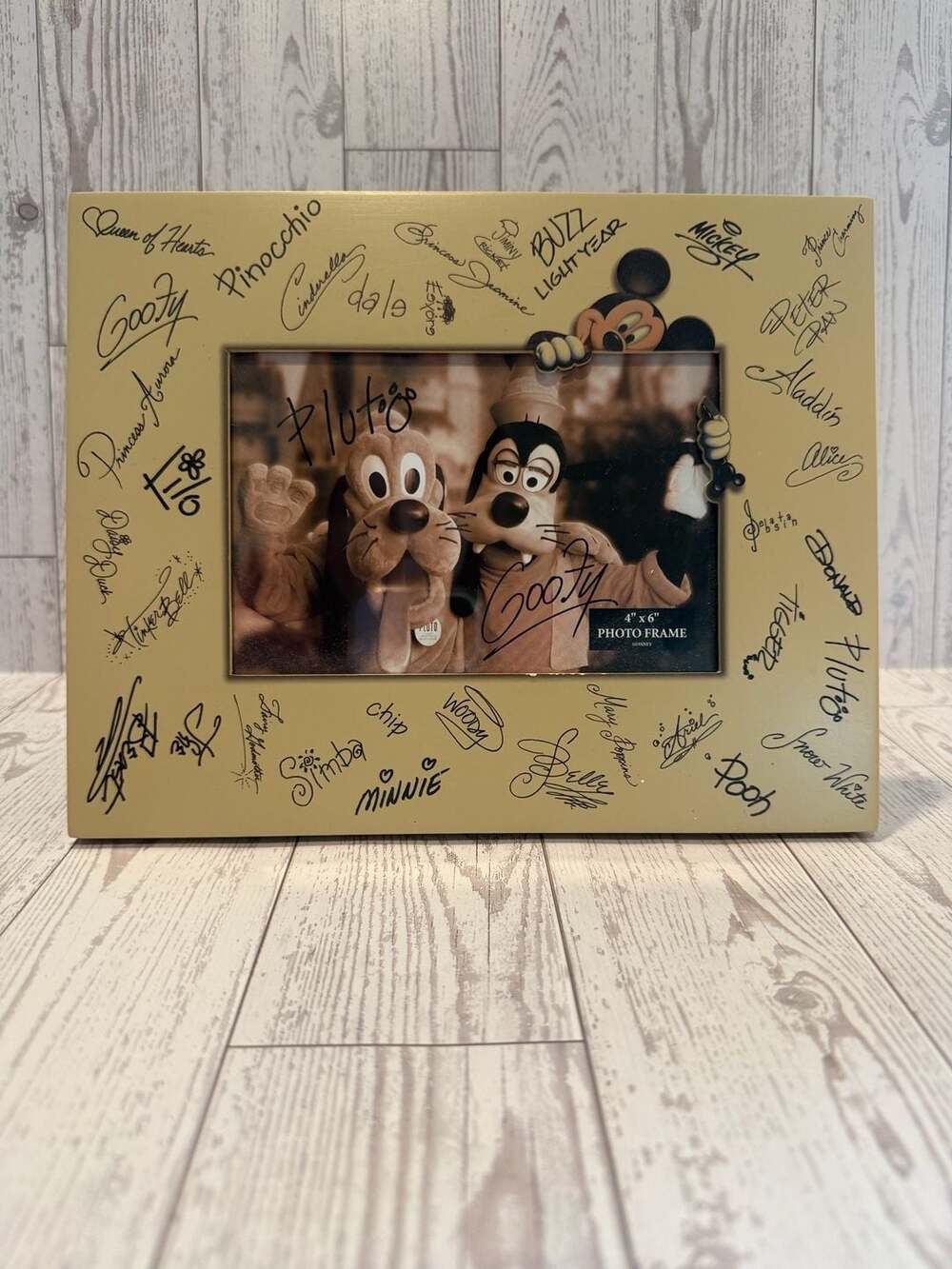 Disney Parks Character Signature 4"x6" Photo Frame